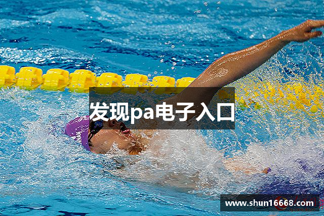 发现pa电子入口